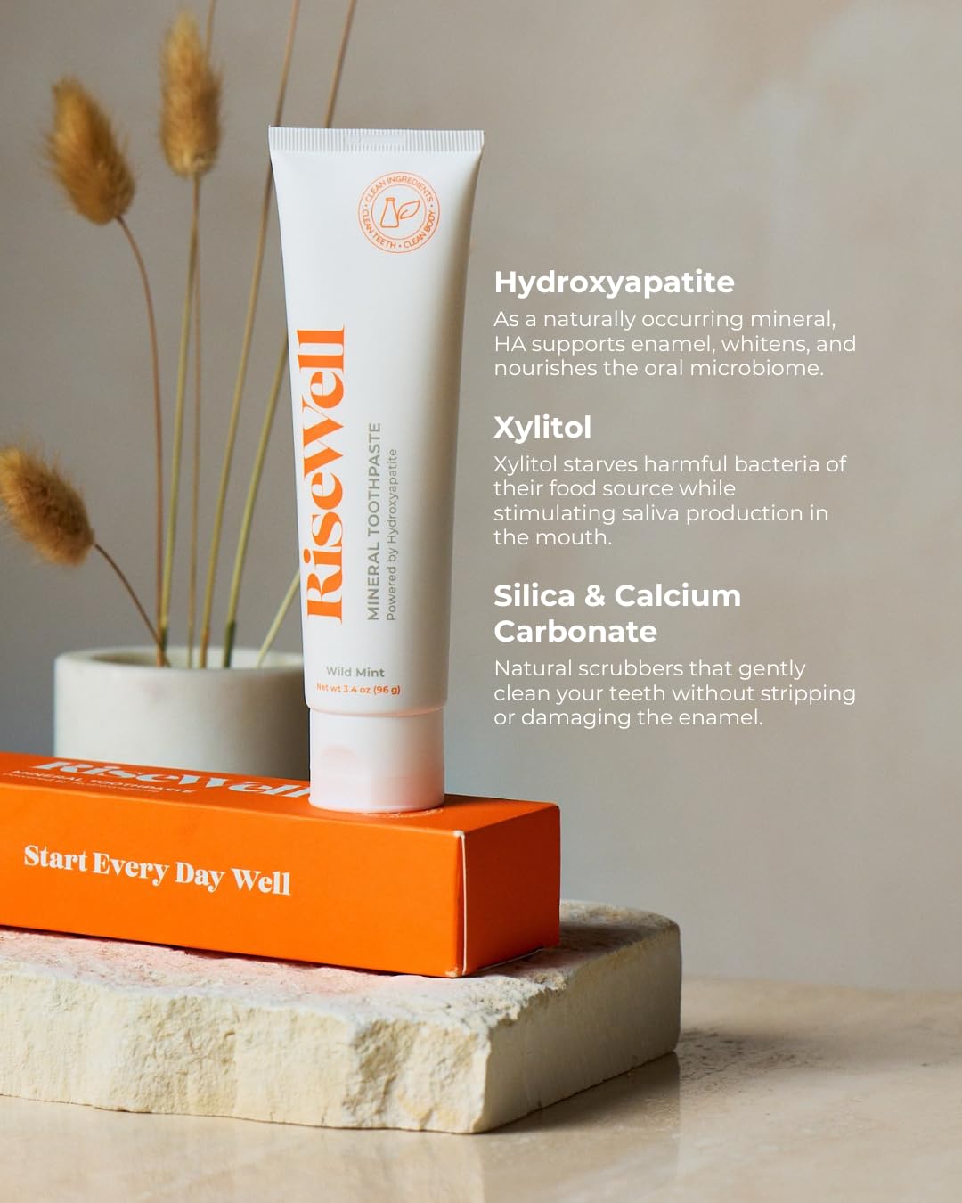 RiseWell Mineral Toothpaste - All Natural Toothpaste with Hydroxyapatite - Made in the USA, Natural SLS-Free Toothpastes - for a Stronger and Healthier Teeth, Wild Mint, 3.4 Oz