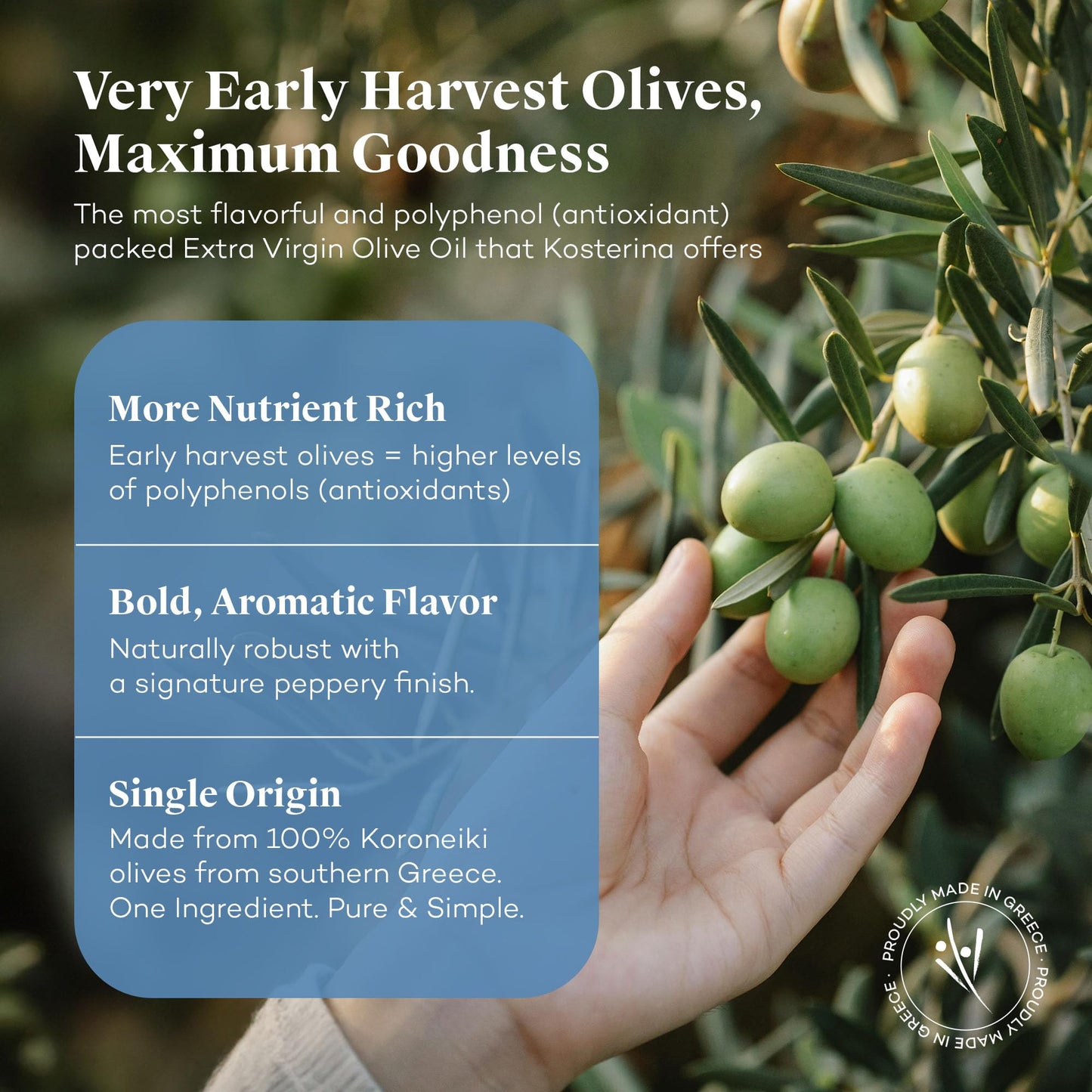Kosterina Original Extra Virgin Olive Oil | Polyphenol Rich Greek Olive Oil, Cold-Pressed EVOO, Early Harvest Koroneiki Olives | Harvested in Greece (16.9 oz)