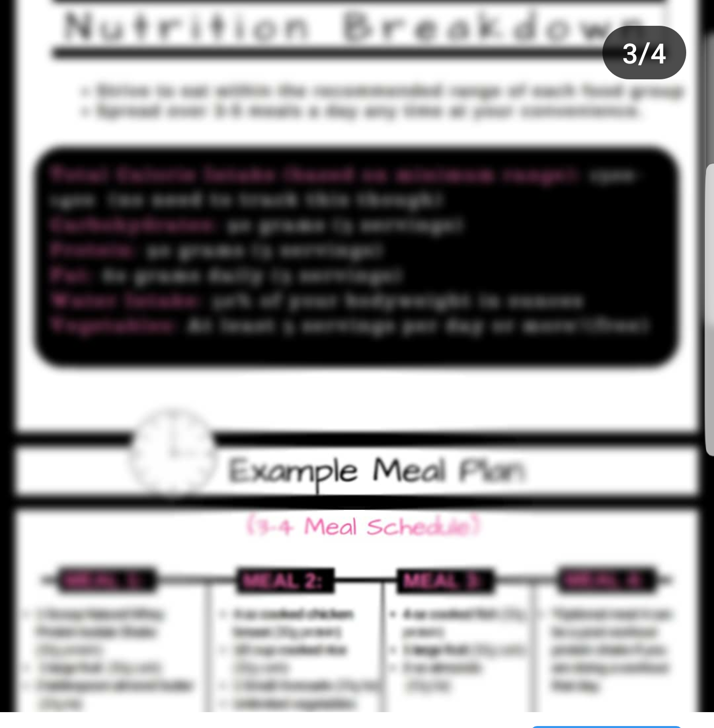 Women's Foundation Nutrition Plan