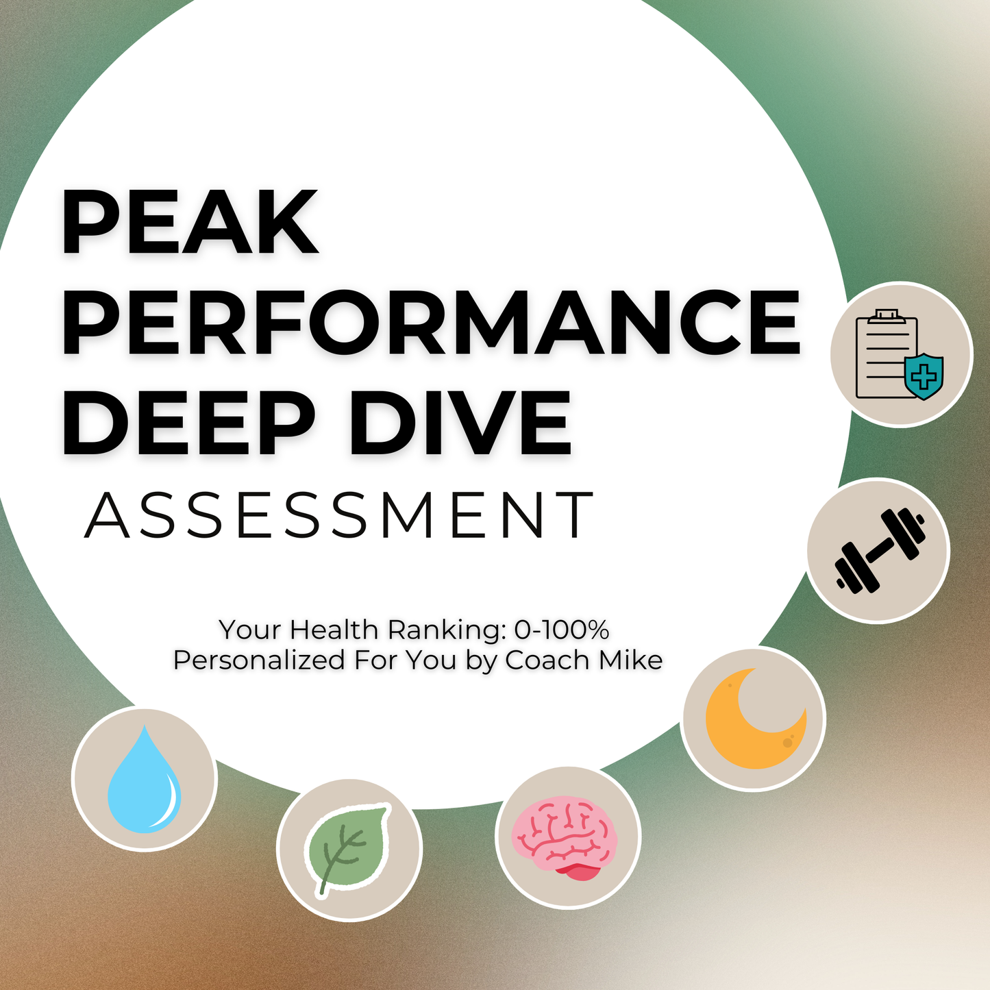 Peak Performance Deep Dive Assessment (The most complete analysis of health, training, nutrition, supplements, recovery, and lifestyle)