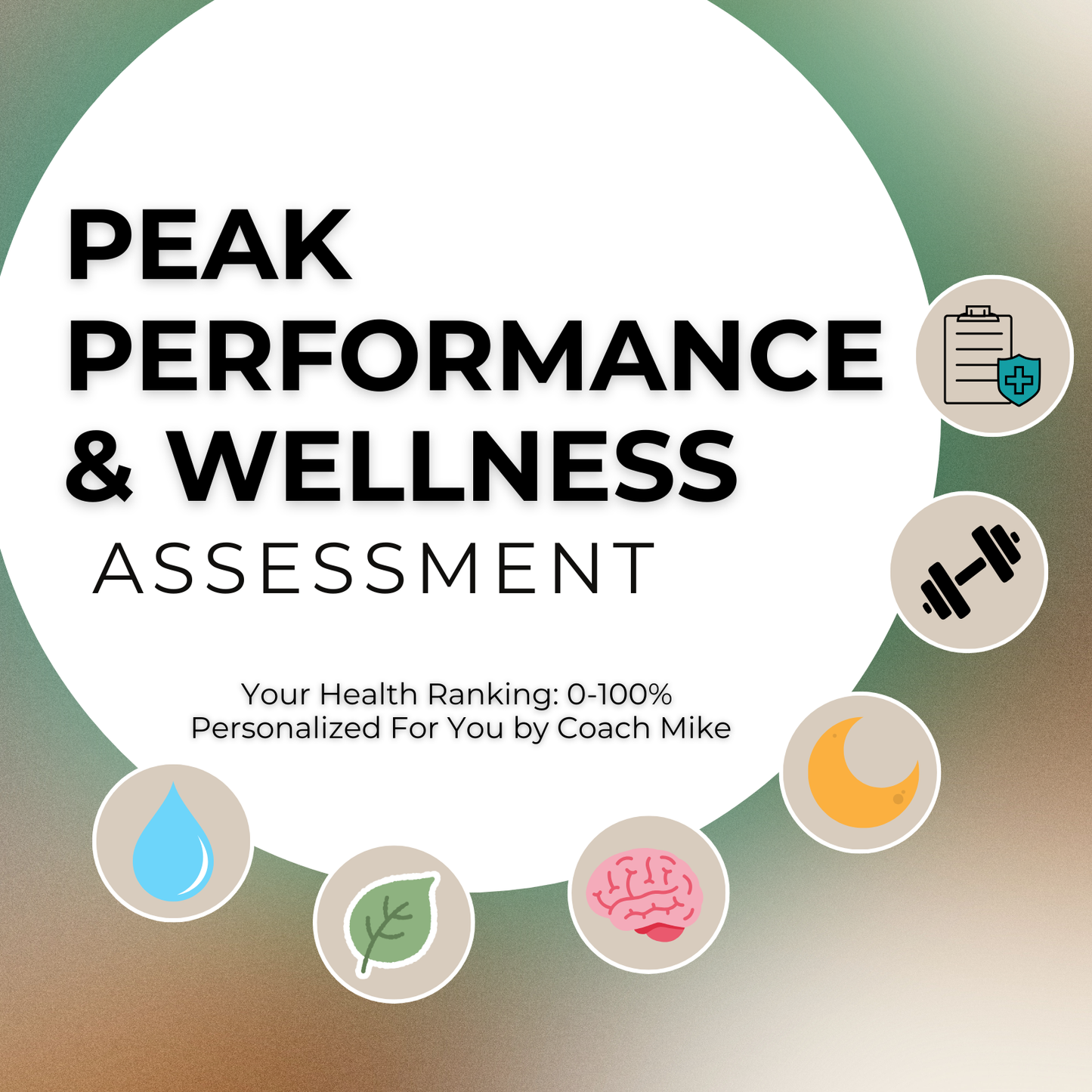 Peak Performance & Wellness Assessment (50% off intro special all November)