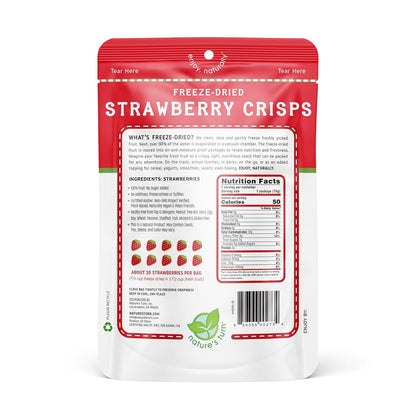 Nature's Turn Freeze Dried Strawberries - .53oz Bag