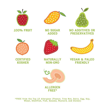 Nature's Turn Freeze Dried Strawberries - .53oz Bag