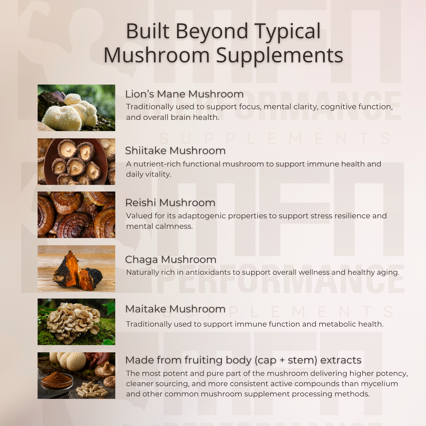 MFN Mushroom Focus MAX (Buy 1 get 1 FREE) *add 2 to cart for launch promo