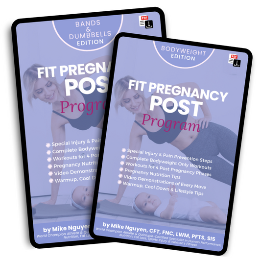 FIT PREGNANCY (POST) PROGRAM BUNDLE