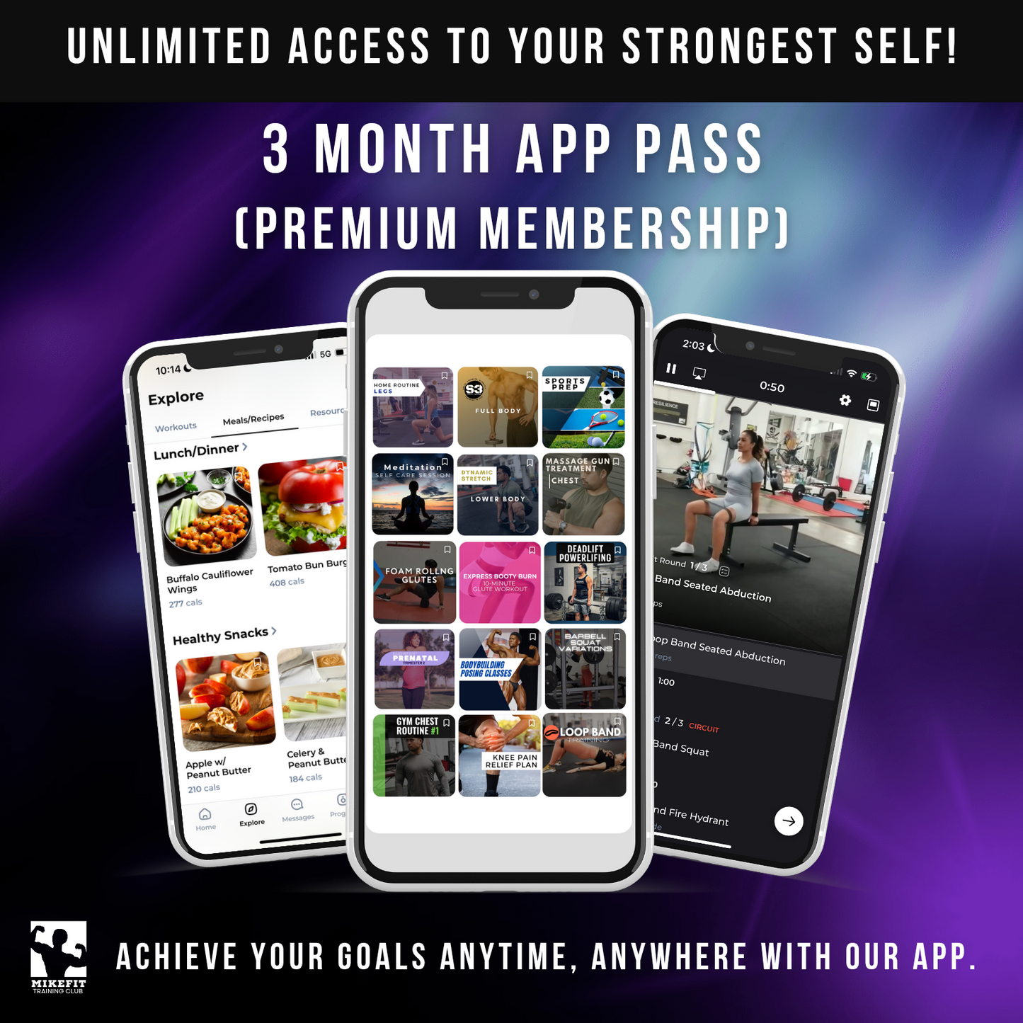 3-Month App Membership (Premium Plan)
