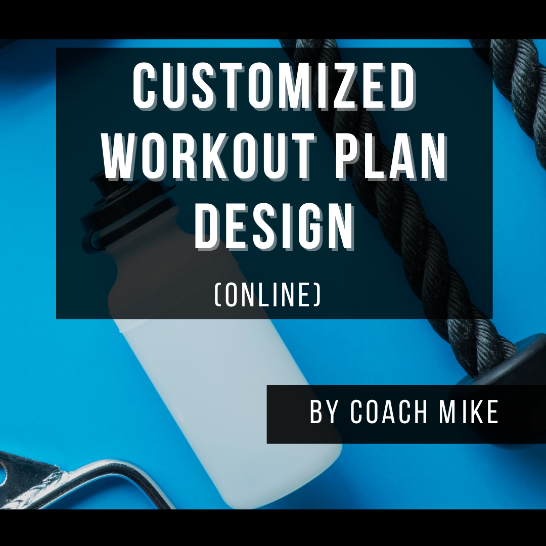 Online Custom Workout Plan Design